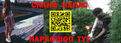 крисы Будённовск
