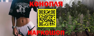 крисы Будённовск